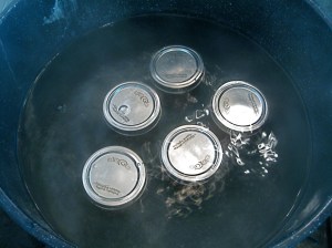 Processing jars in a boiling water canning bath