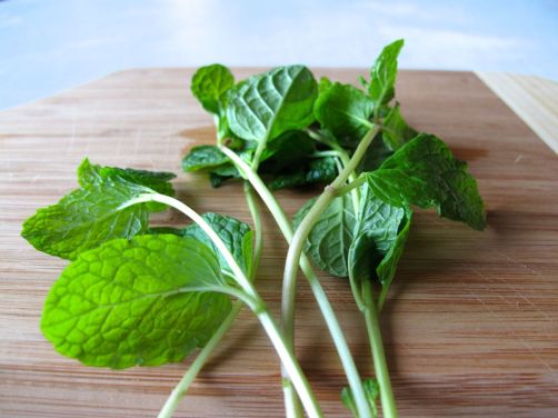 Fresh Mint for Chicken Tagine with Chickpeas, Chard, and Dried Figs