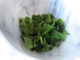 Mint and cilantro