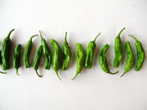 Green Shishito Peppers