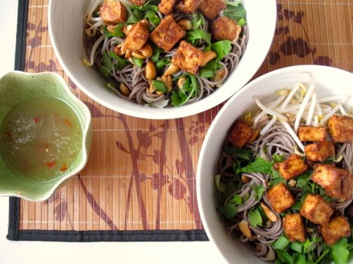 Vietnamese Style Soba Noodle Salad with Baked Peanut Tofu