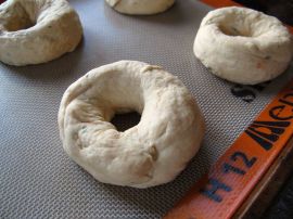 Making Tomato Basil Bagels