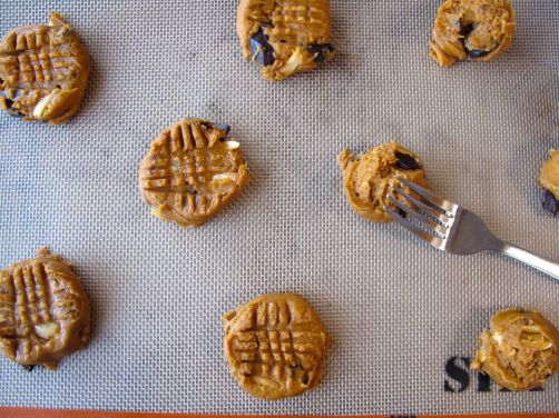 Making Mole Chocolate Chip Cookies