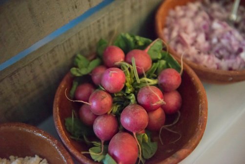 View More: http://debbiegardnerphotography.pass.us/paulaallison