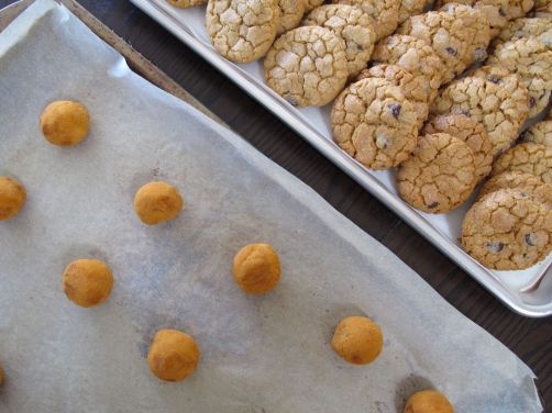 Wedding favor cookie baking!