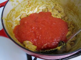 Making Easy Indian Chicken Curry