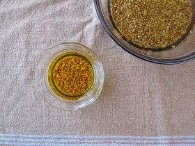 Soaking Fenugreek Seeds and Green Lentils for Chicken Rfissa